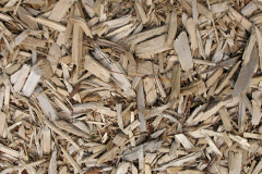 biomass boilers Ludstone